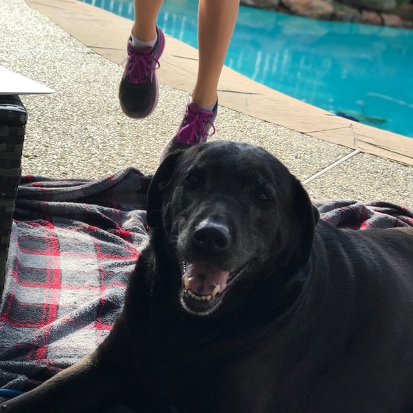 Meet your Posher, Kinnley - Picture 3 of 3